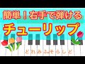 子供も簡単!右手で弾ける「チューリップ」⭐️ピアニカ、鍵盤ハーモニカの練習にも!指使いつき