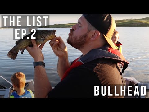 Bluegill  Largemouth Bass Fishing