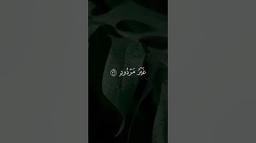 سورة هود الاية (76) ياسر الدوسري
