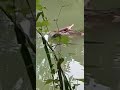 Beware before u bathe / Swim in an unknown place