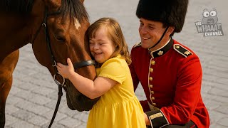 Royal Guard Horses Break Character For Special Needs Visitors Heartwarming Moments