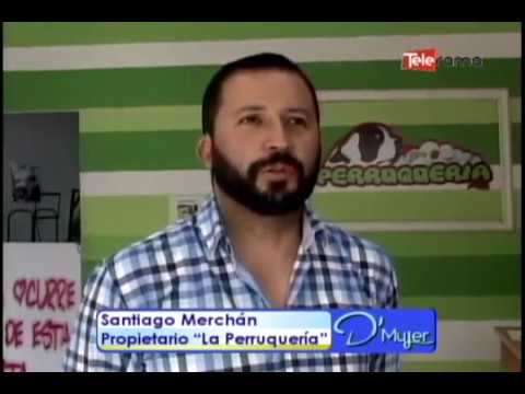 Halloween para nuestras mascotas