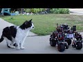 3D Printed Lego Technic Rover Chassis Video