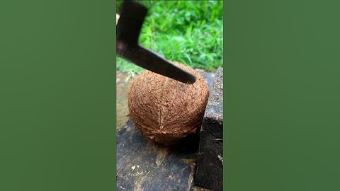 Thats awesome it opens coconuts