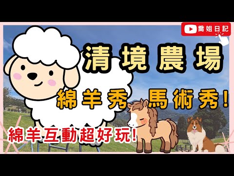 ❤️近距離與綿羊互動超好玩❤️！！ 清境農場 綿羊秀???? 利比札 馬術秀???? 南投 親子????‍????‍???? 放鬆???? 景點????