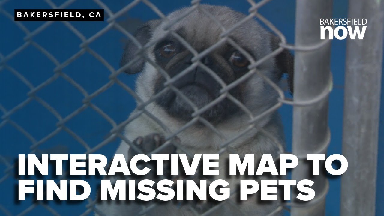 Kern County Animal Service adopts technology to locate pets