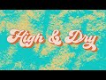 Devon cole  high  dry official lyric