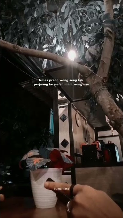 story wa 'lemes prenn' || story wa keren | story 15 detik #shorts #storywa30detik #status