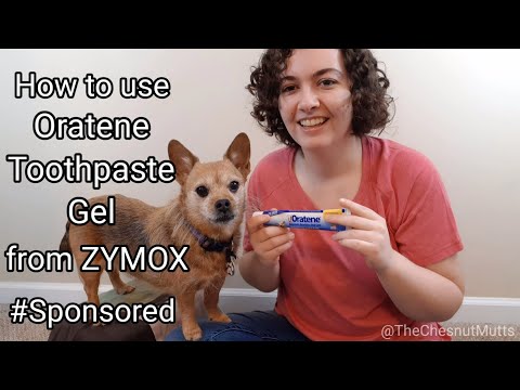 How to Use Oratene Toothpaste Gel from ZYMOX #Sponsored