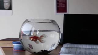 Under The Surface | Short Film