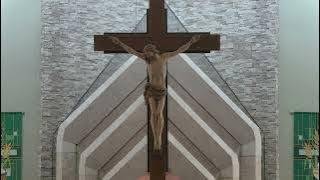 Saturday, June 20th, 2026: 12th Sunday of Ordinary Time; 4:00pm Mass