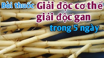 Bài thuốc giải đ.ộc cơ thể giải đ.ộc gan, trị mất ngủ lâu năm. PHAN HẢI channel