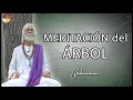 Meditación del Árbol - Sanación ancestral