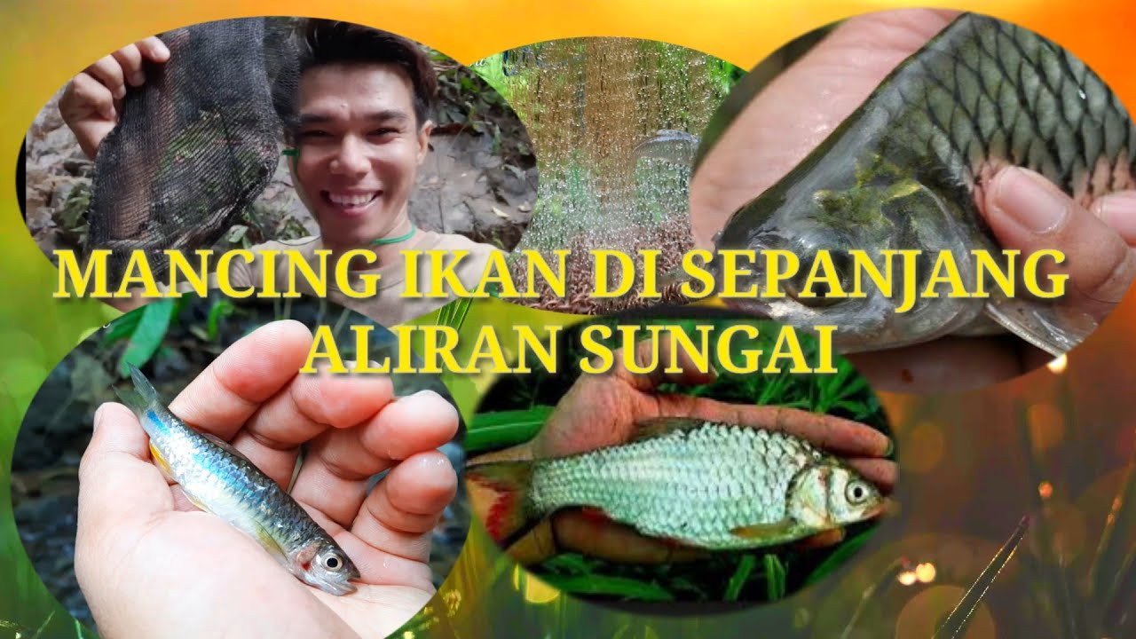 MANCING IKAN 