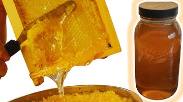 Homestead HONEY HARVEST-The Crush and Strain Method is Cheap and Simple!