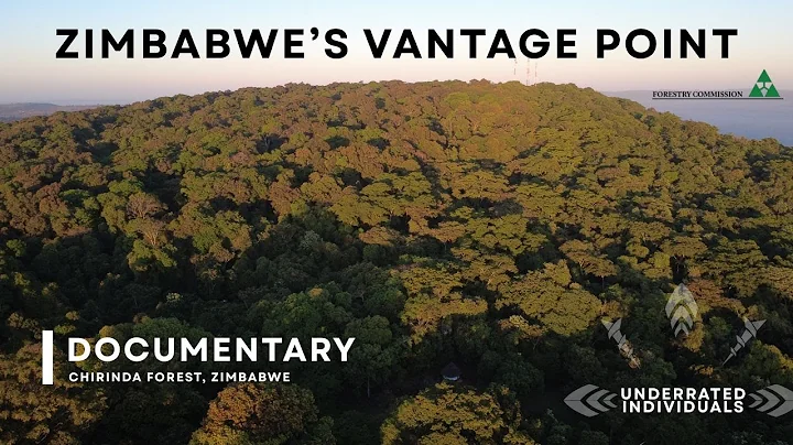 Zimbabwe's Vantage Point: The Forest of Stolen Rain | Chirinda Forest Documentary