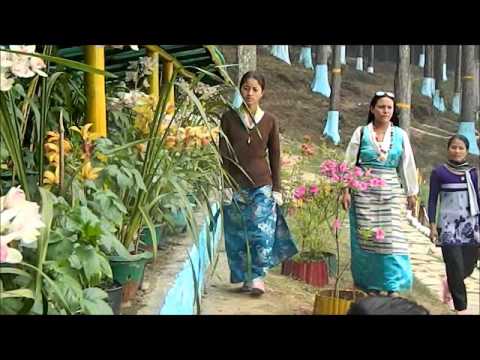 Sikkimese New  Song Malai Sikkim Man Parchha Sikkime Janta Man Parchha