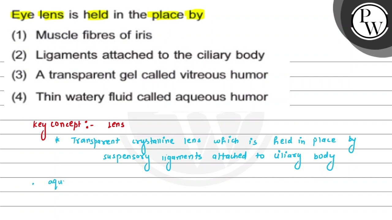 Eye lens is held in the place by
\( P \)
(1) Muscle fibres of iris
...