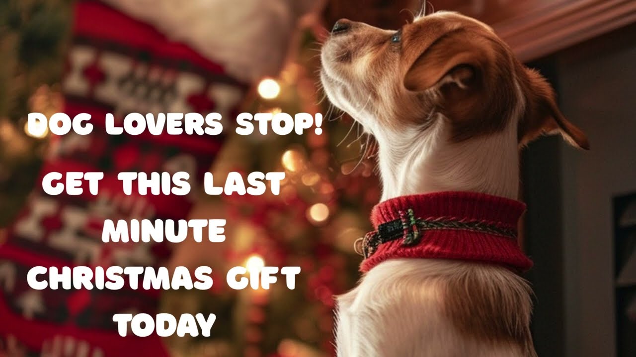 Dog Lovers Are OBSESSED With This Christmas Coloring Book 🎄🐶