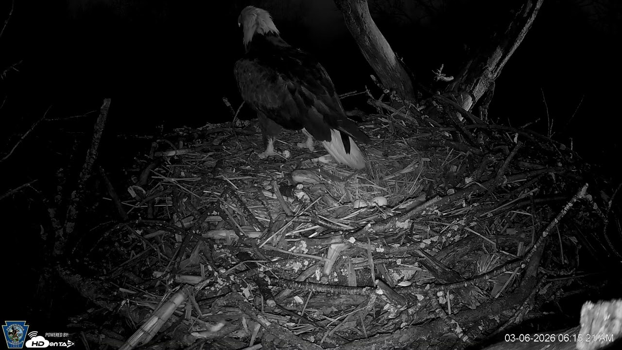 Hanover Eagles Live Cam   HDOnTap — Mozilla Firefox 2026 03 06 06 14 44