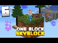 Minecraft Skyblock, But You Only Get ONE BLOCK (#6)