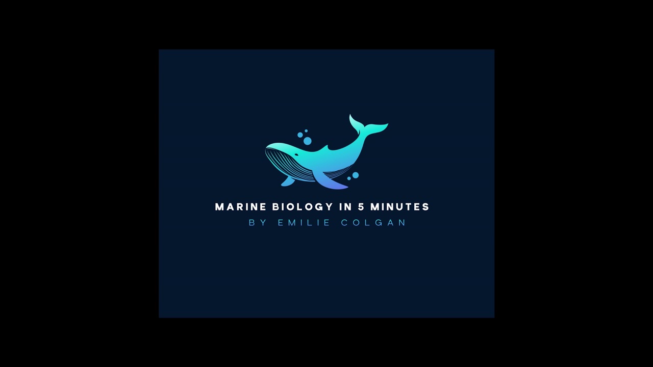 Sea Turtles: Ancient Creatures Faced with Modern Challenges