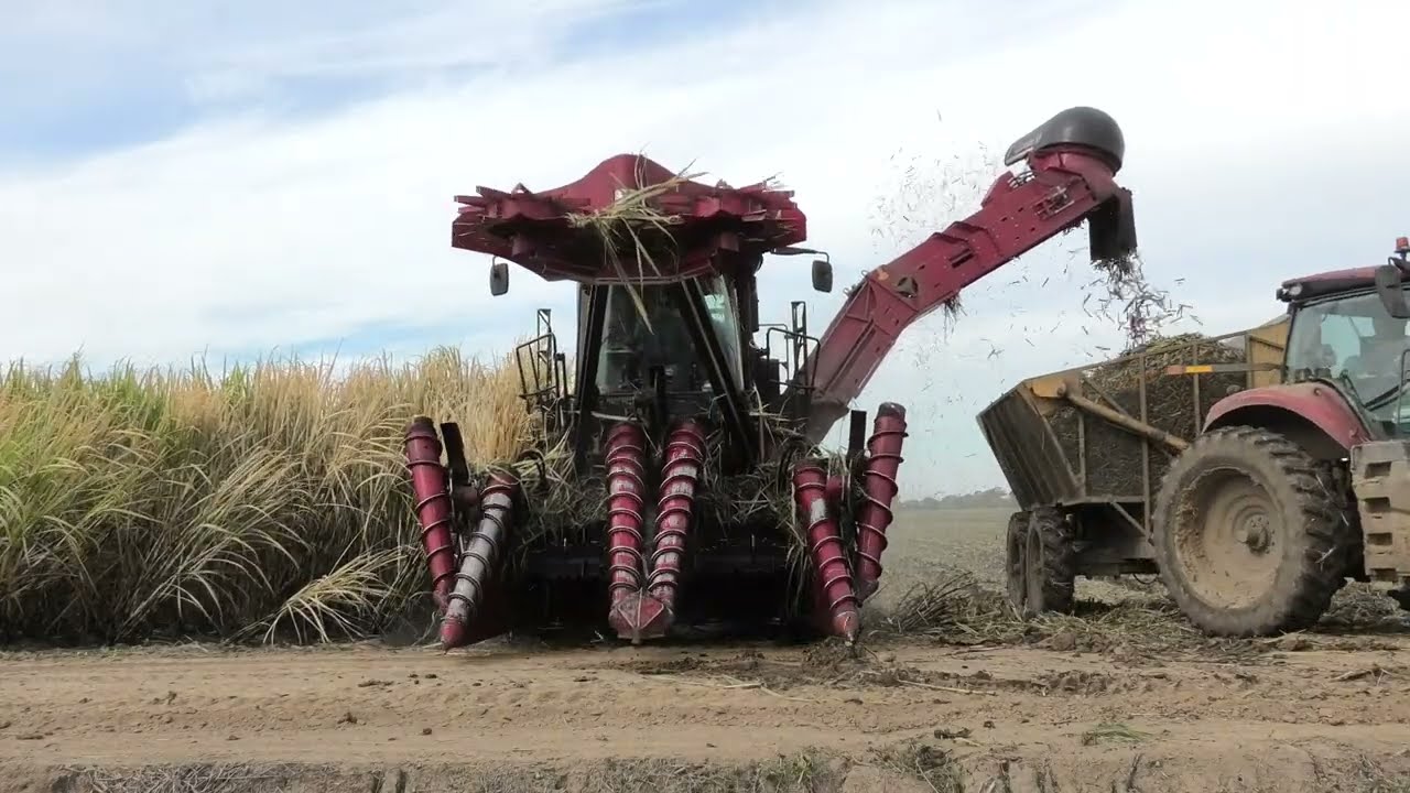 Case IH 9990 Dual Row in Burnt Cane