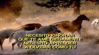 Aunque me duela el alma - Vicente Fernández (Karaoke)