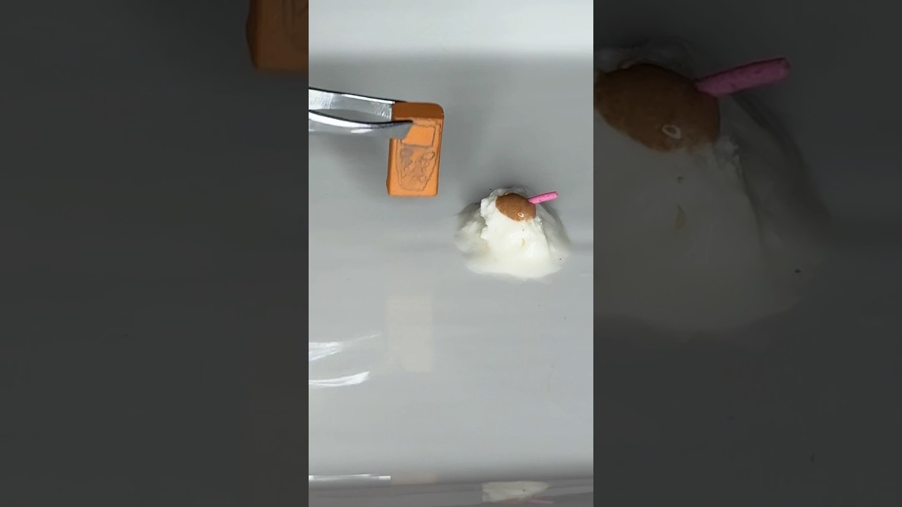 Whats your favourite food?