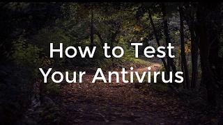 How to Test Your Antivirus screenshot 5