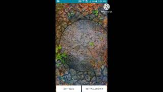 How to Set Live Wallpaper || Mobile Mein Live Wallpaper Kaise lagaen #short screenshot 1