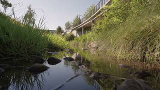 The Hidden Gem in RTP's Vibrant Downtown, Hub RTP | Burdens Creek at Hub RTP Episode 1