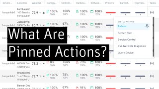 What Are Pinned Actions?