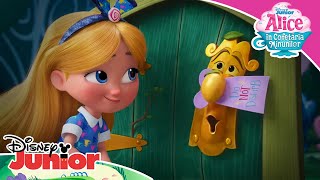 ☕ Haideți la petrecere! | Alice în Cofetăria Minunilor | Disney Junior România