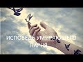 Исповедь умирающего человека. №904