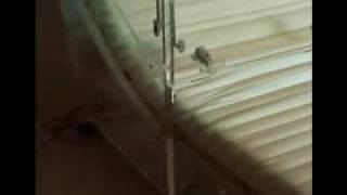 Belitec - Łóżka We Wnęce