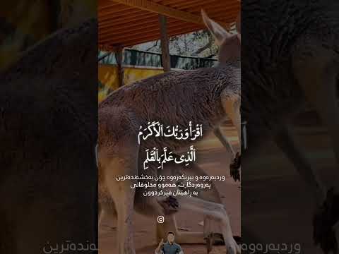 يربكه ره وه و وردبه ره وه له هه موو مه خلوقات