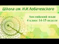 Английский язык 4 класс 14-15 недели. At the zoo