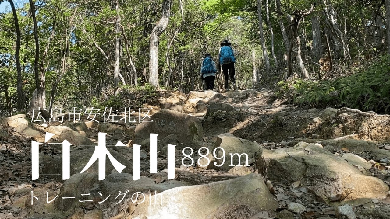 【広島登山・白木山】富士山・アルプスのトレーニングにもなる889m広島の山。ほとんどが急登、眺望なしの登山道、でも頂上360度の絶景が待っています‼︎2024.5.4