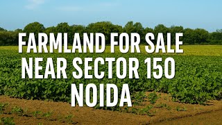 Affordable Farmland Near Noida Registry + Mutation📞+91 - 7861008808 Investment Opportunity