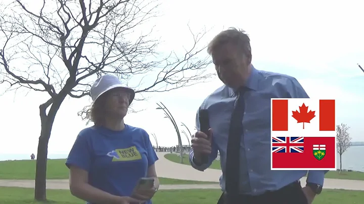 CNNNN interview of New Blue Party candidate Alliso...