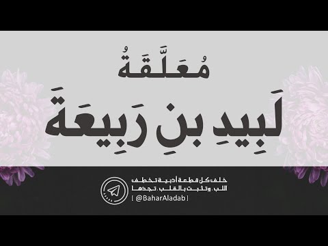 الم ع ل قات الس ب ع م ع ل قة ل ب يد بن ر ب يعة ب صوت د فيصل المنصور