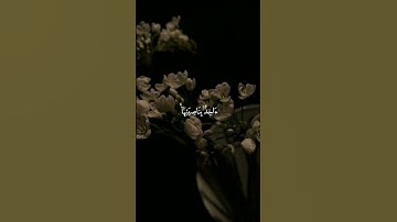إِنِّي تَوَكَّلْتُ عَلَى اللَّهِ رَبِّي وَرَبِّكُم|من سورة هود|القارئ فارس عباد😴❤️.