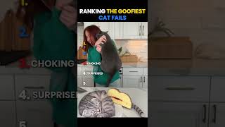 Ranking the Goofiest Cat Fails 🐈