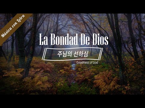 🎧 주님의 선하심 Spanish Version | La Bondad De Dios | Goodness of God 🎧 Bethel Music 🎧