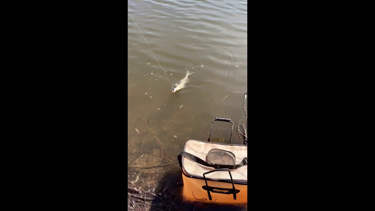 3 марта 2020. Утро. Рыбалка на Ахтубе с. Селитренное - YouTube