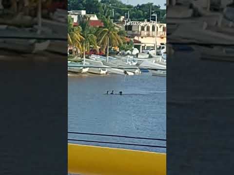 rico baño en el río, Champoton Campeche #travel #mexico #nature