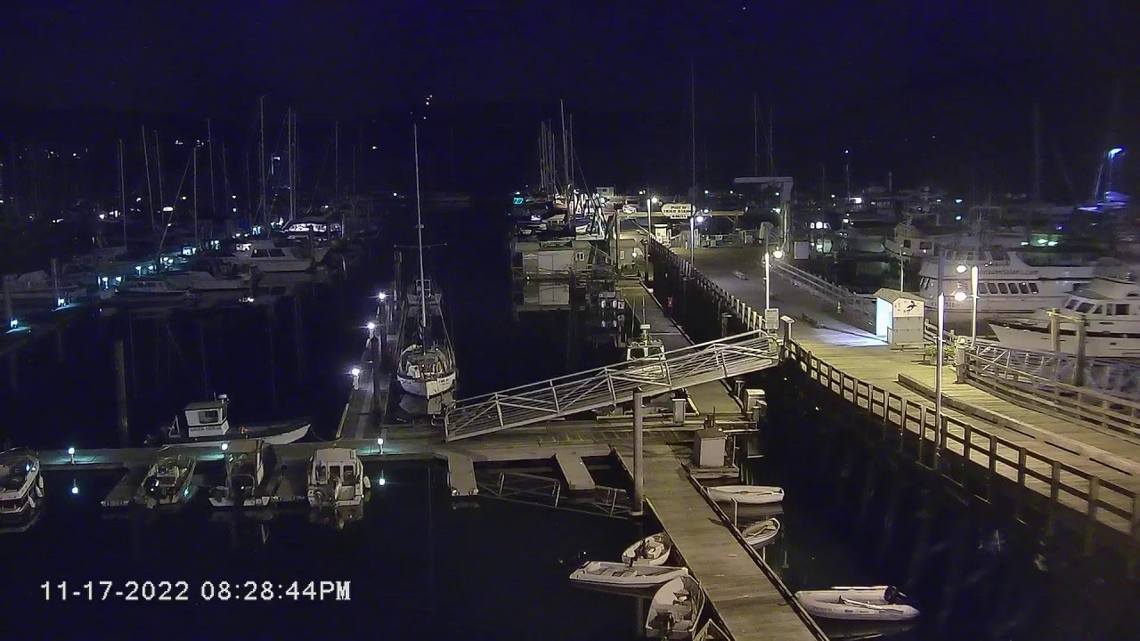 Port of Friday Harbor Marina Live Stream