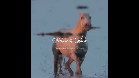 حاله وتس قران كريم 😍 تلاوه تقشعر منها الابدان(  والعاديات ضبحاً )