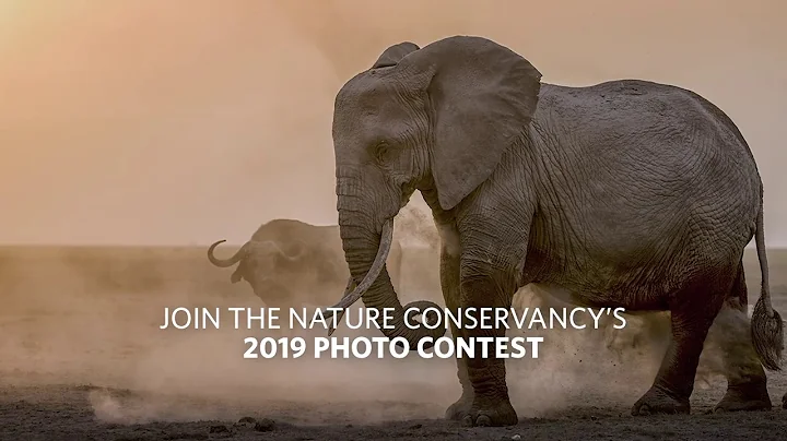 TNC's 2019 Photo Contest - DayDayNews